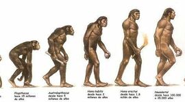 Timeline: DEL PRIMAT A L’HOMÍNID