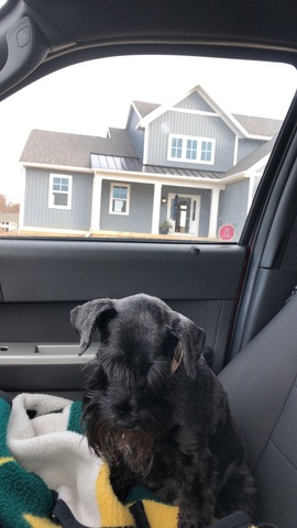 Moved into my current house