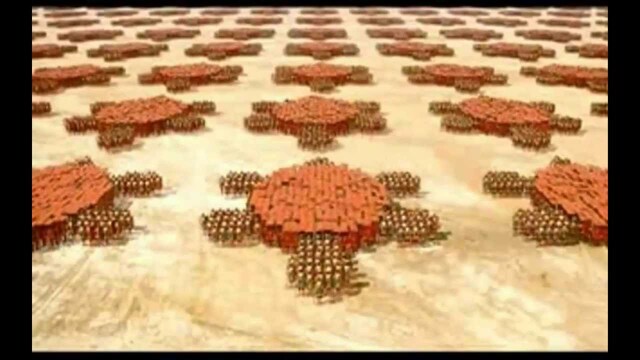 formation de la tortue