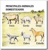 Inici de la domesticació d'animals