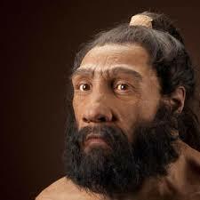 Homo Sapiens neandertal