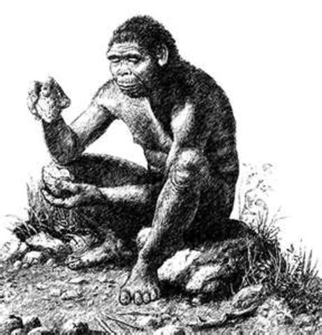 Homo Hablis (handy man)