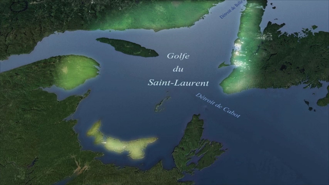 Découverte du golfe saint laurent