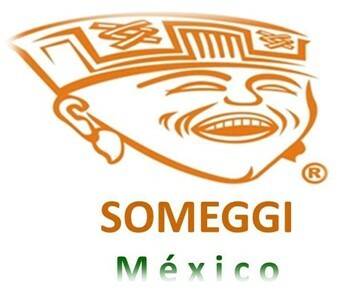 Diplomado en Asistencia Geronto-Geriatrica