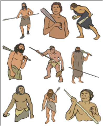 Australopthecus Afarensis