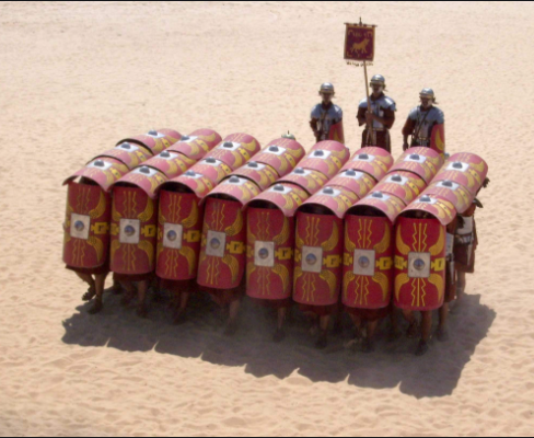 la formation tortue !