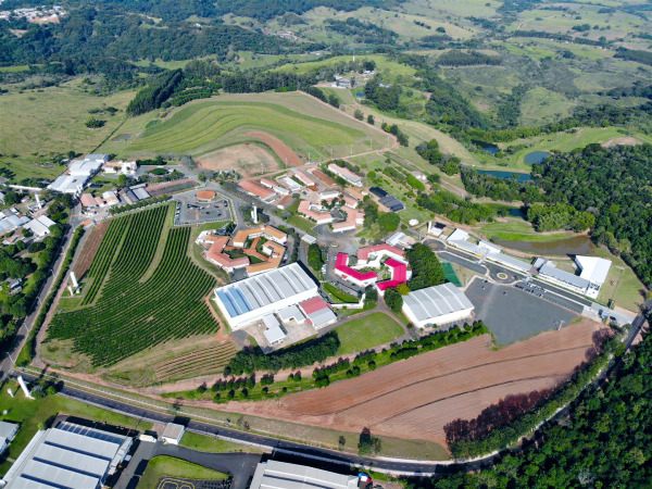 fundação shunji nishimura