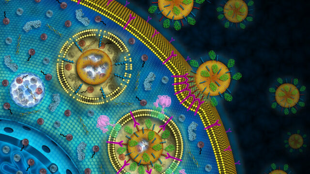 How nanotech works in COVID-19 vaccines