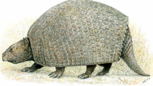 Argentina i fòssils