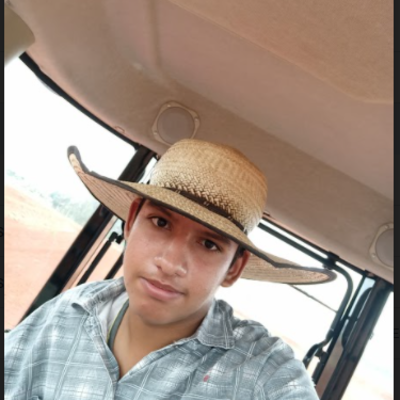 Timeline: As descobertas