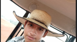 Timeline: As descobertas