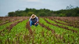 Timeline: EVOLUCIÓN DE LA AGRICULTURA EN VENEZUELA