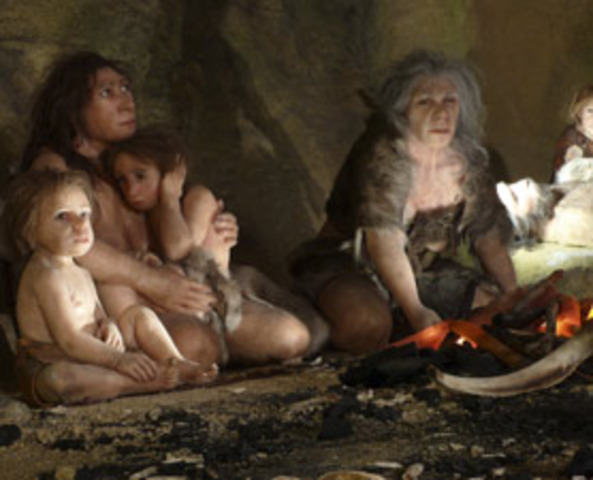 Homo Sapiens Sapiens