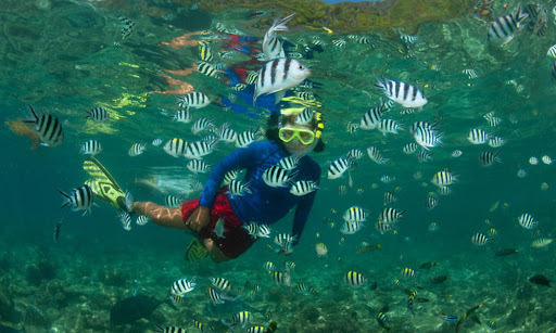 The First Time I Went Snorkeling