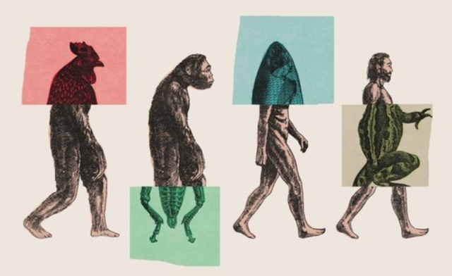 Los mecanismos del cambio