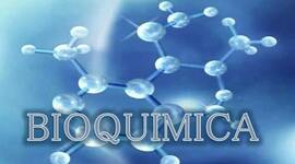 Timeline: BIOQUÍMICA