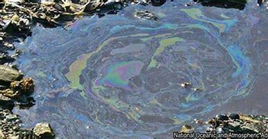 Toxic Chemicals in Bay