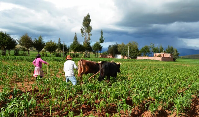 Decaimiento del Sector Agropecuario