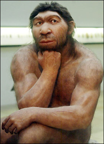 Homo sapiens neaderthalensis