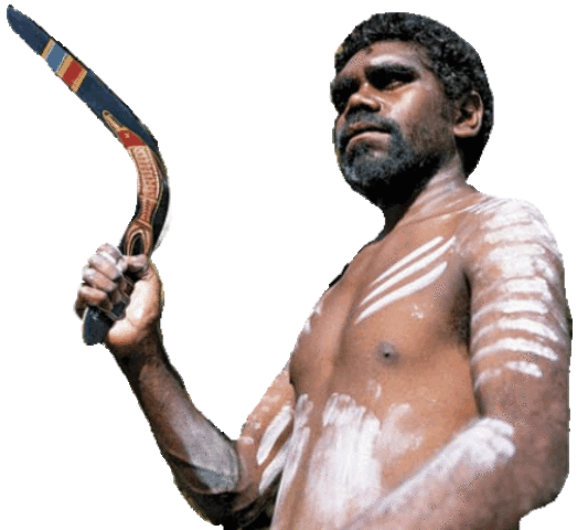 Homo sapiens sapiens