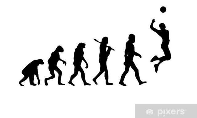 Evolución del voleibol