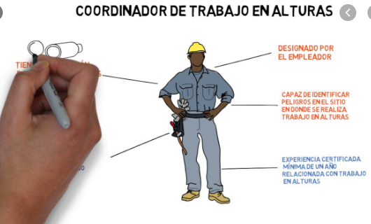 resolución numero 1409