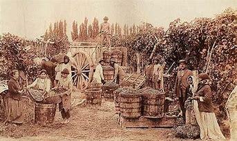 1913 - 1916 Panorama económico de México II