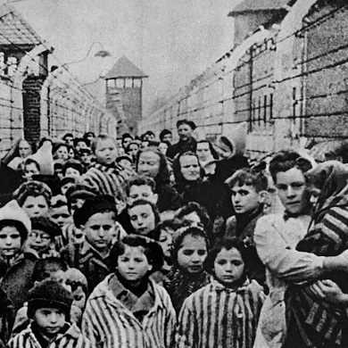 Holocaust