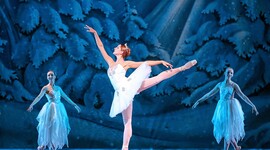 Timeline: Ballet: A History of its Origins and Evolutions