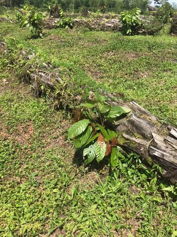 SEMANA 16 BITACORA PLANTA