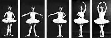 The Basic Techniques of Classical Ballet