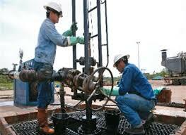 Plan Nacional de Desarrollo Industrial (1976-1982)