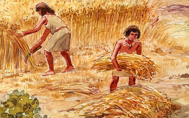 Descoberta de l'Agricultura