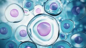 Became a medical scientist