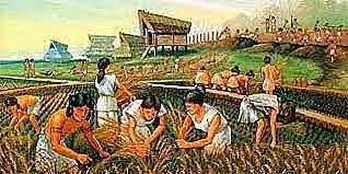 Descobriment de l'agricultura