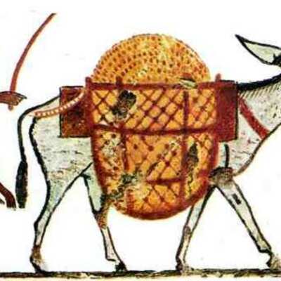 Timeline: Evolución del transporte y el comercio en la Edad Antigua