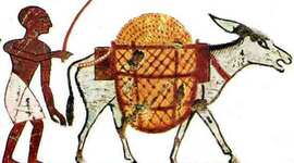 Timeline: Evolución del transporte y el comercio en la Edad Antigua