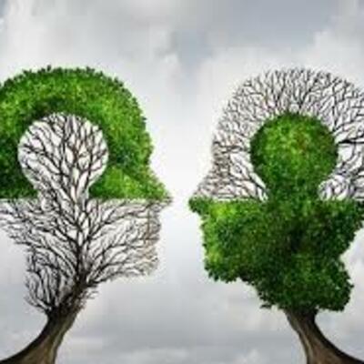 Timeline: Fechas de las primeras actividades