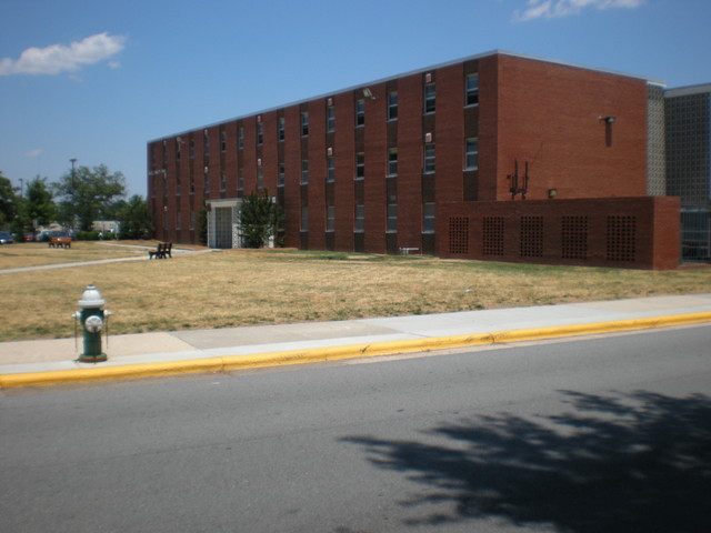Welcome to Aggie Land- Haley Hall