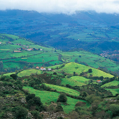 Timeline: espacio agrario de venezuela