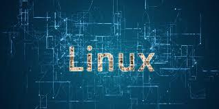 Sistema Operativo Linux 2007