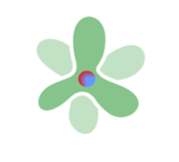 ACTUAL Modelo mecánico-cuántico