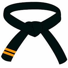 2nd degree black belt