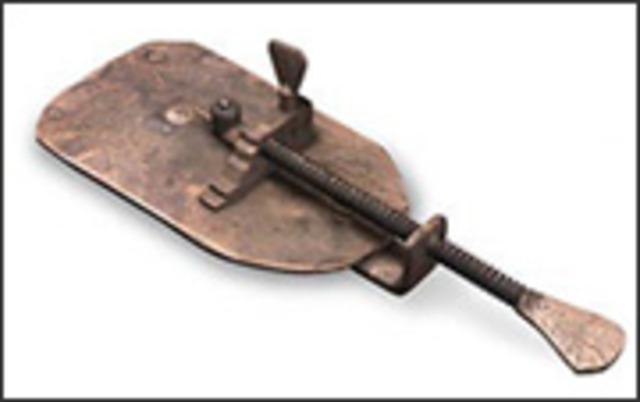 Cells and Microorganisms