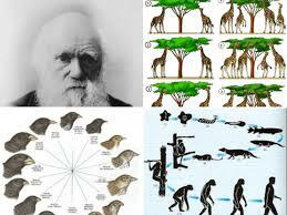 CHARLES DARWIN (1809-1882)