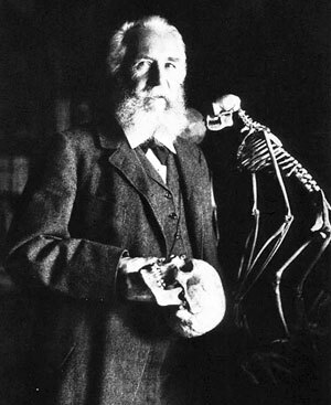 ERNEST H.HAEKEL (1834-1919)