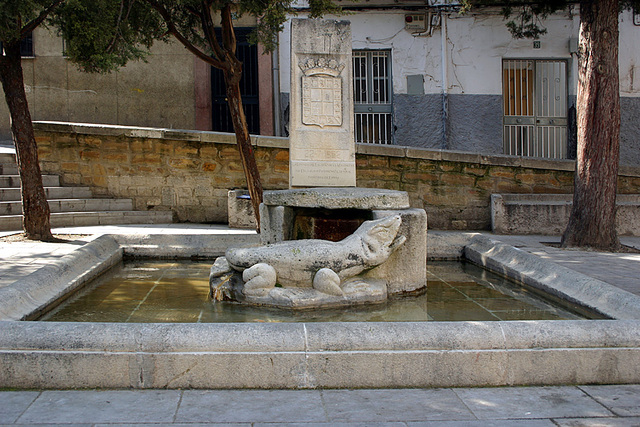 Raudal de la Magdalena