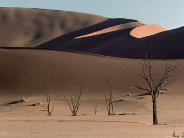 Galton Went On An Exploration To Southwest Africa