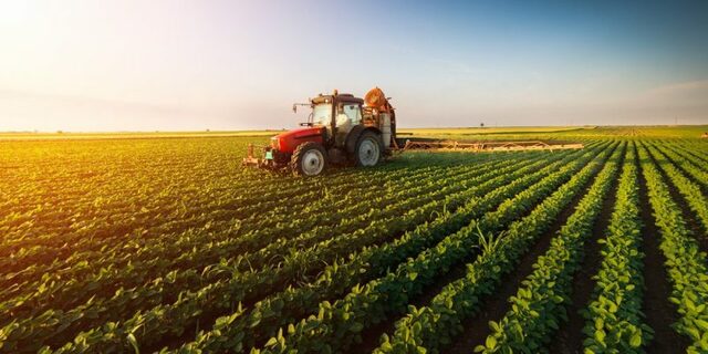 Hombres en busca de solución democrática al problema agrario