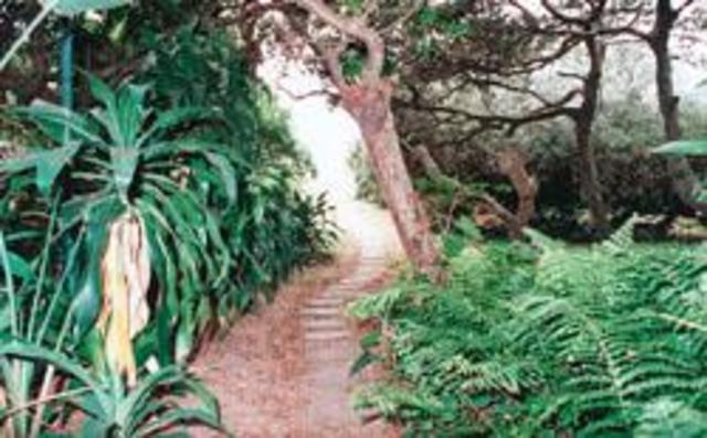 Galton Publishes, Tropical South Africa